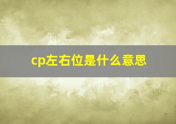 cp左右位是什么意思