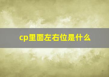 cp里面左右位是什么