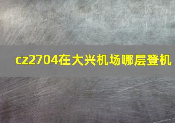 cz2704在大兴机场哪层登机