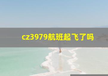 cz3979航班起飞了吗