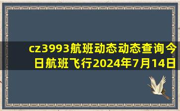 cz3993航班动态动态查询今日航班飞行2024年7月14日