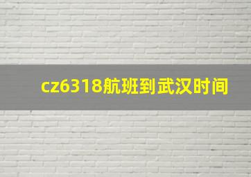 cz6318航班到武汉时间