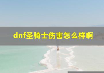 dnf圣骑士伤害怎么样啊