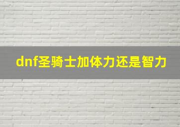 dnf圣骑士加体力还是智力