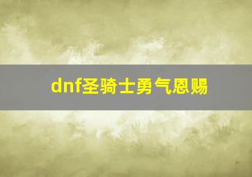 dnf圣骑士勇气恩赐