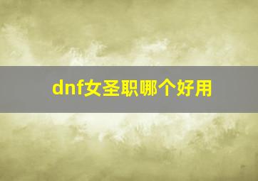 dnf女圣职哪个好用