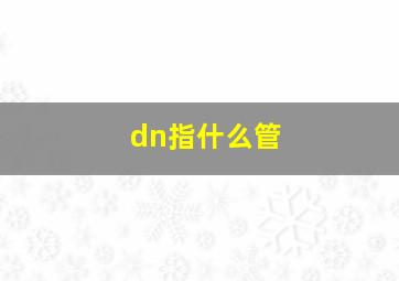 dn指什么管