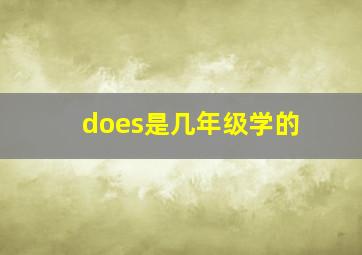 does是几年级学的