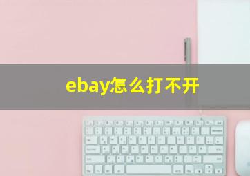 ebay怎么打不开