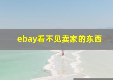 ebay看不见卖家的东西