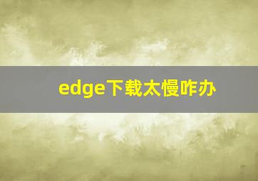 edge下载太慢咋办