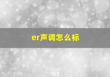 er声调怎么标