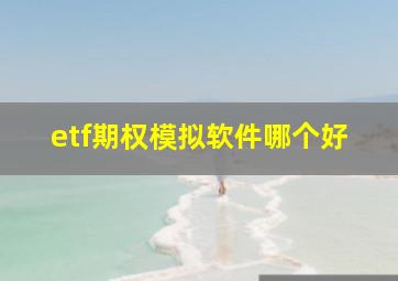 etf期权模拟软件哪个好