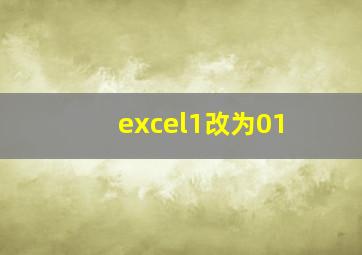 excel1改为01