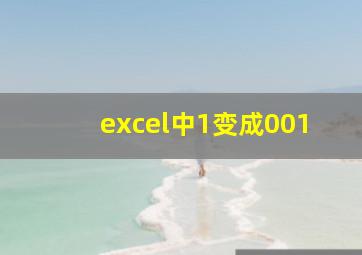 excel中1变成001