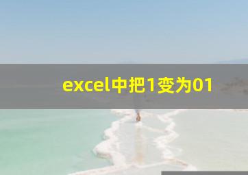 excel中把1变为01