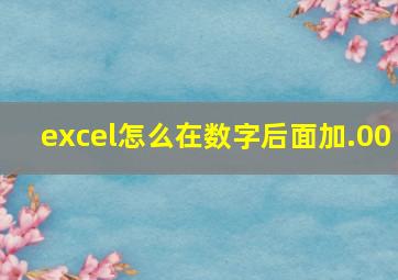 excel怎么在数字后面加.00