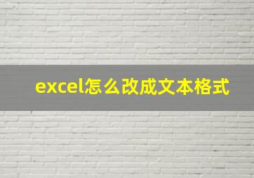 excel怎么改成文本格式