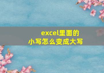 excel里面的小写怎么变成大写