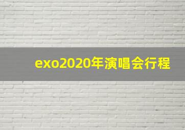 exo2020年演唱会行程