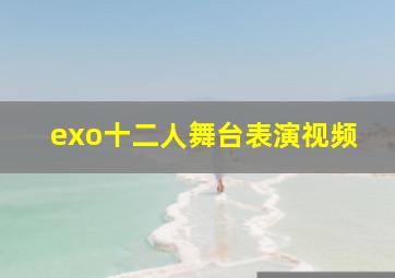 exo十二人舞台表演视频