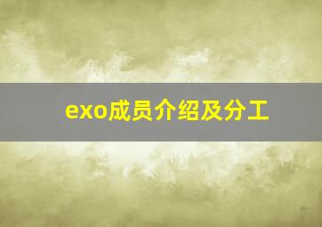 exo成员介绍及分工