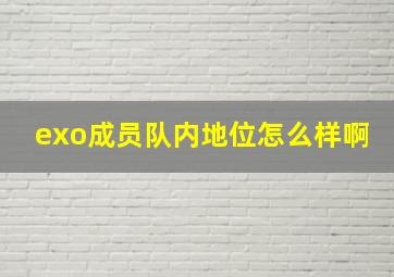 exo成员队内地位怎么样啊