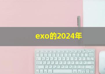 exo的2024年