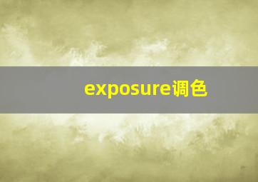 exposure调色