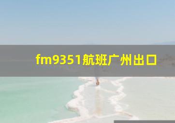 fm9351航班广州出口