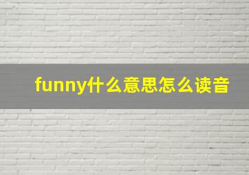 funny什么意思怎么读音