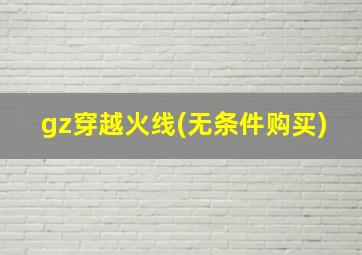 gz穿越火线(无条件购买)