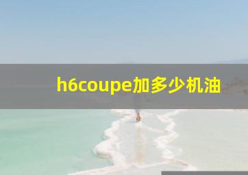 h6coupe加多少机油