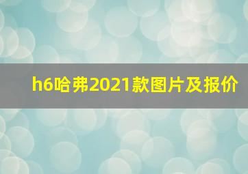 h6哈弗2021款图片及报价