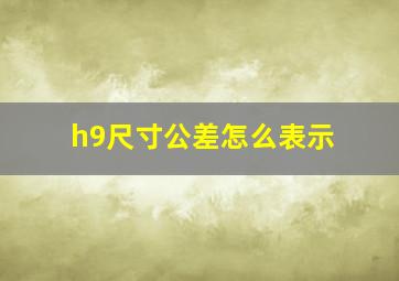 h9尺寸公差怎么表示