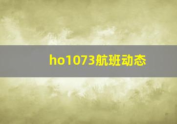 ho1073航班动态