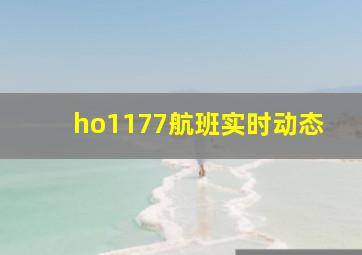 ho1177航班实时动态