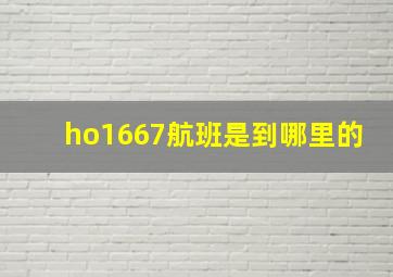 ho1667航班是到哪里的