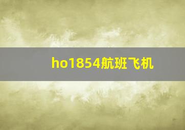 ho1854航班飞机