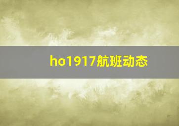 ho1917航班动态