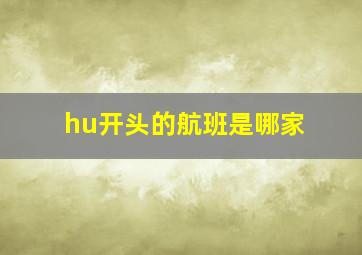 hu开头的航班是哪家