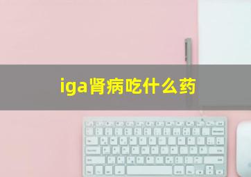 iga肾病吃什么药