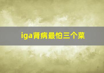 iga肾病最怕三个菜