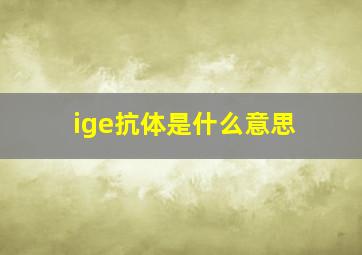 ige抗体是什么意思