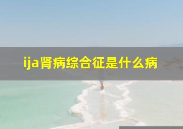 ija肾病综合征是什么病