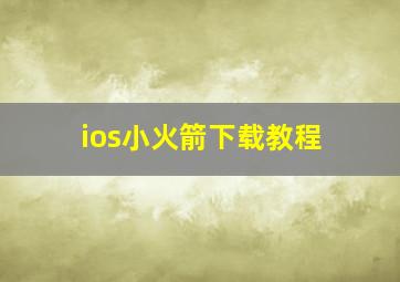 ios小火箭下载教程