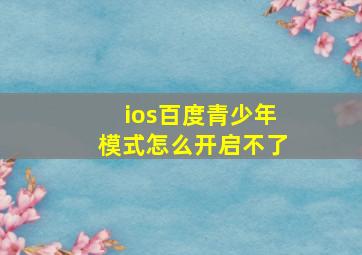 ios百度青少年模式怎么开启不了