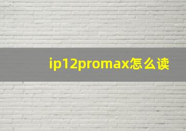 ip12promax怎么读