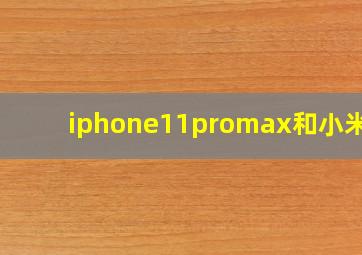 iphone11promax和小米11