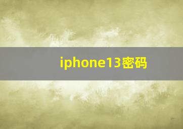 iphone13密码